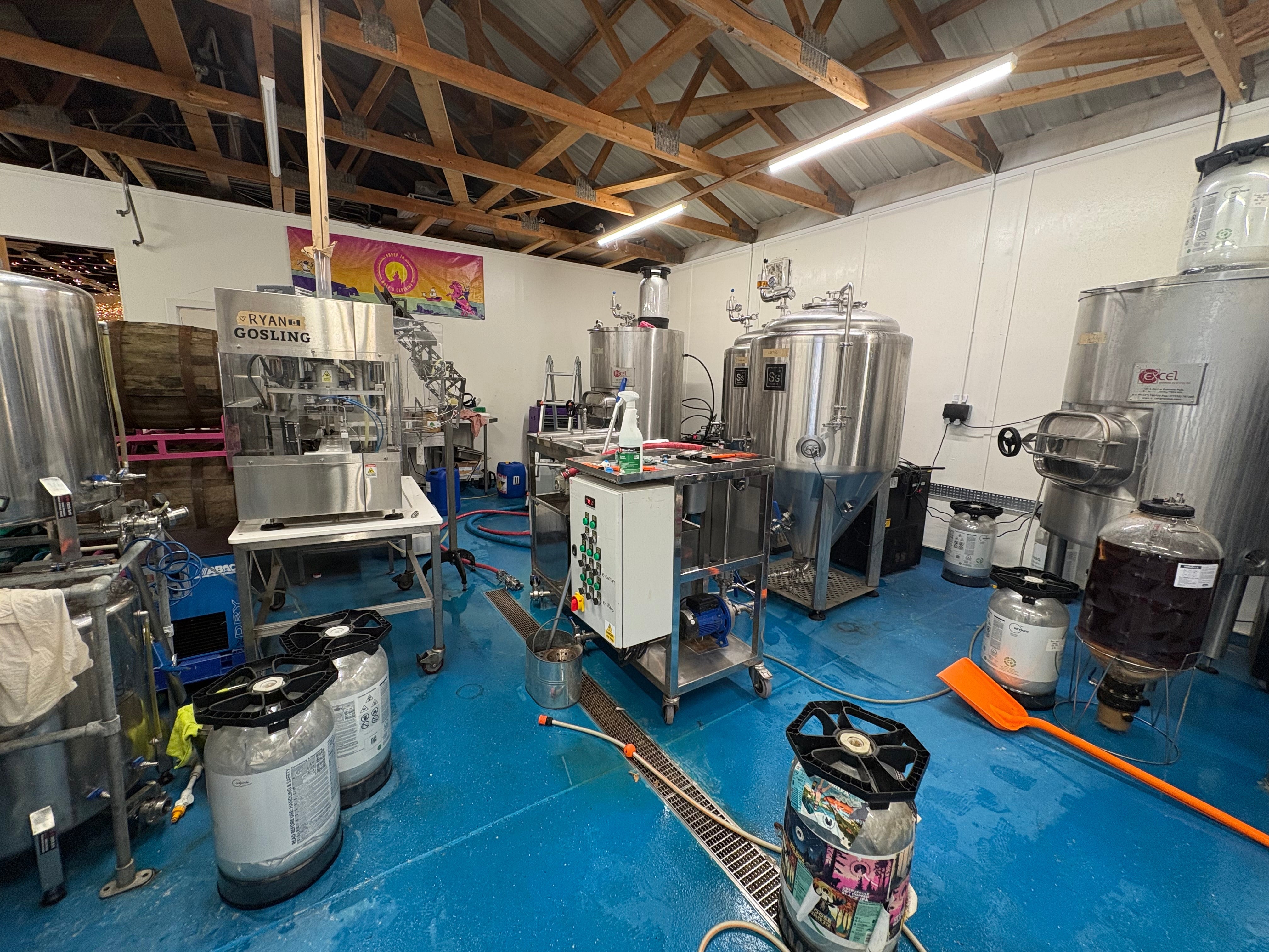What's Actually in Your Beer? A Friendly Guide to Malt, Hops & Yeast